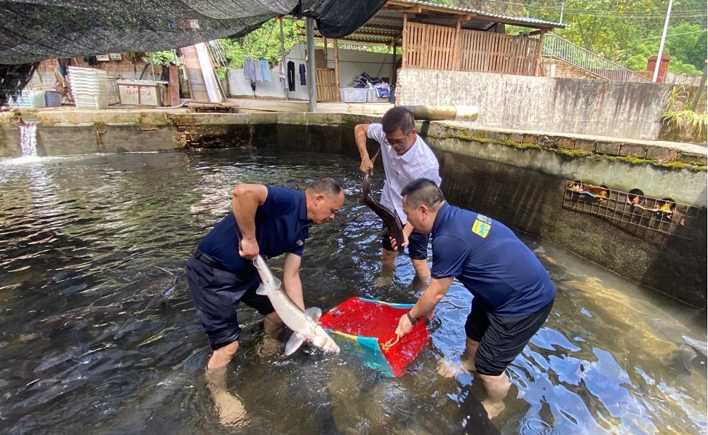 MILE米乐集团|Home